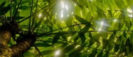 Things Are Moving Along..